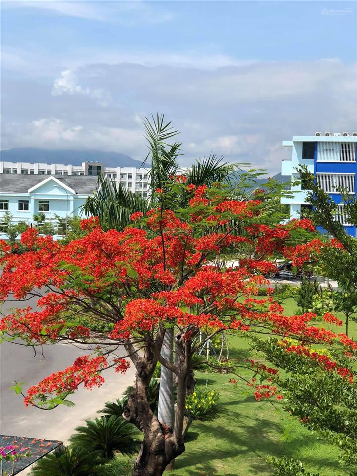 Lô đất chính chủ cẩn bán hướng nam , sạch ,gần sát bệnh viện , vành đai 2 . khu dân cư sầm uất .