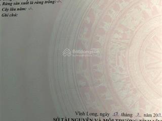 Bán 2 công đất ruộng khu vực gần cầu phó mùi, xã tân long hội, đường vào miếu bà chúa xứ vĩnh long