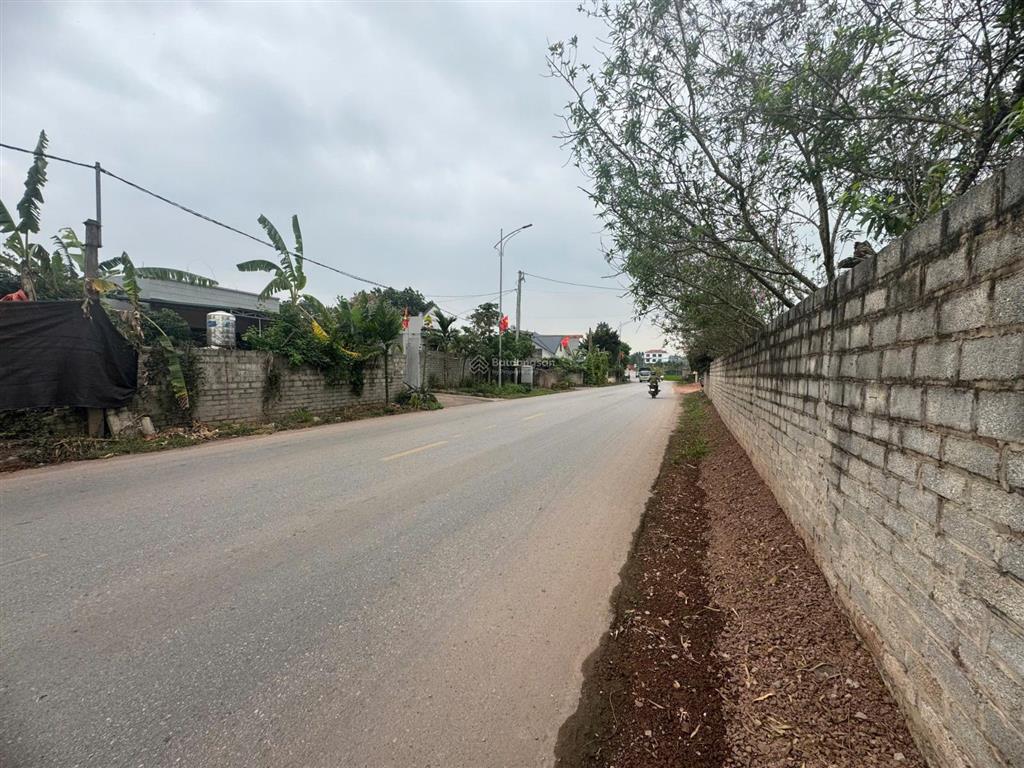 Bán 618m2 mặt tỉnh lộ 295 mỹ thái lạng giang, sát 3 kcn lớn, chỉ 6tr/m2