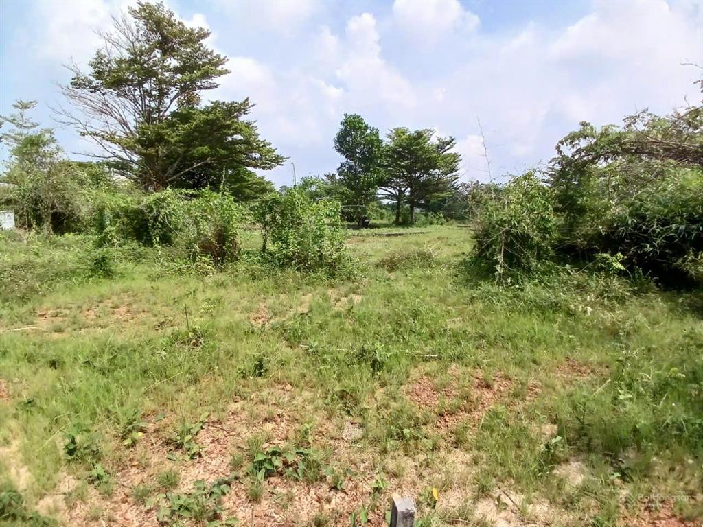 Đất đẹp an phước long thành | view thoáng đường rộng sổ hồng riêng