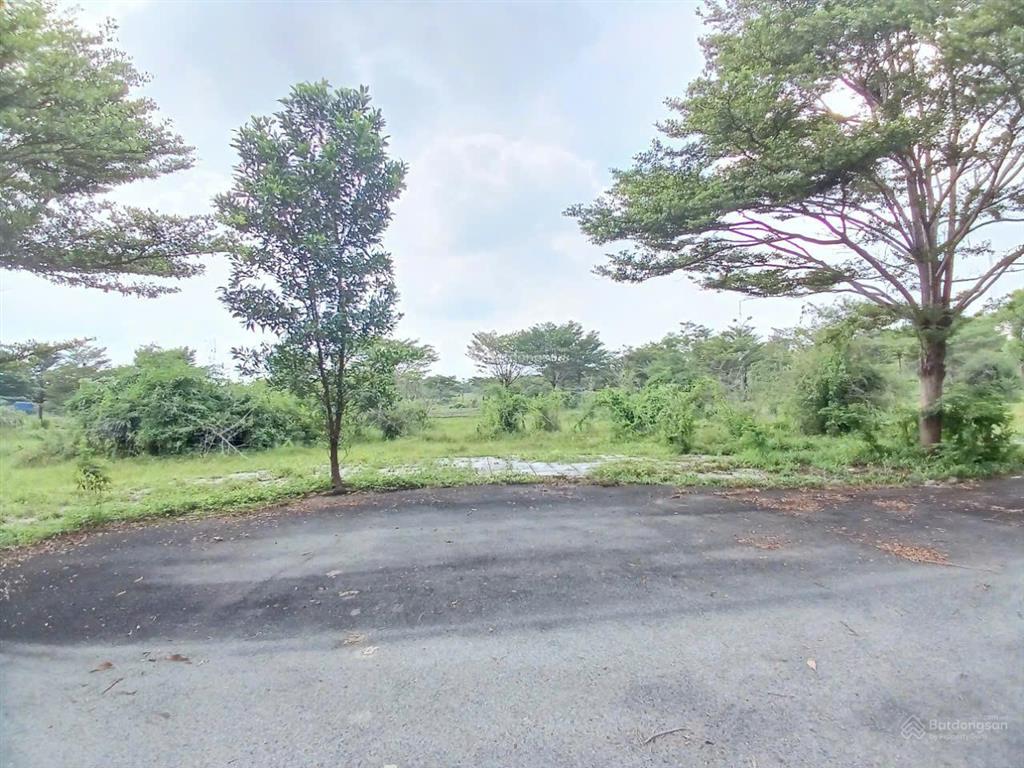 Đất đẹp an phước long thành | view thoáng đường rộng sổ hồng riêng