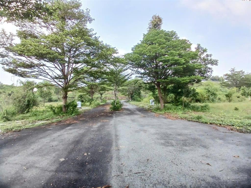 Đất đẹp an phước long thành | view thoáng đường rộng sổ hồng riêng
