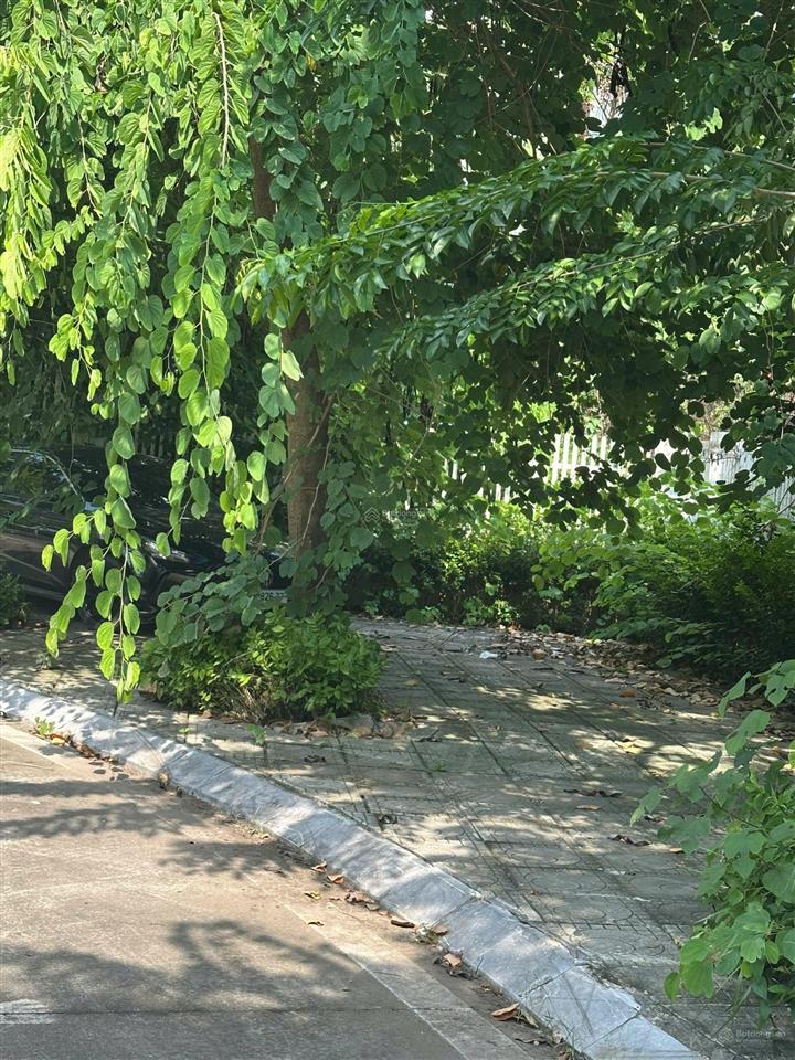 Bán biệt thự song lập geleximco lê trọng tấn an khánh, hn dt 240m2 view vườn hoa mát mẻ yên tĩnh