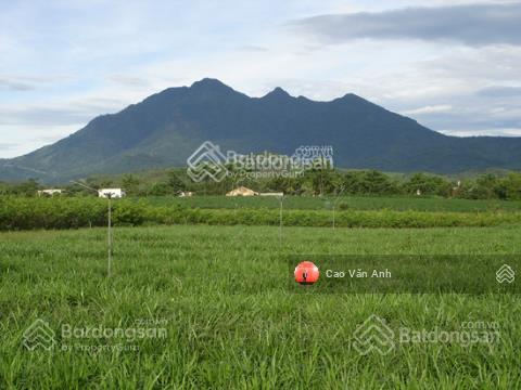 Chính chủ bán lô ba vì, hà nội, 1315m2 xã tản lĩnh cũ, gần ql 87a, cuối đại