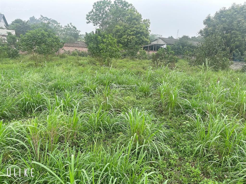 Chính chủ bán lô ba vì, hà nội, 1315m2 xã tản lĩnh cũ, gần ql 87a, cuối đại