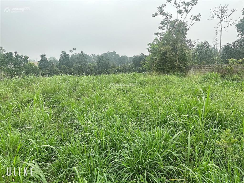 Chính chủ bán lô ba vì, hà nội, 1315m2 xã tản lĩnh cũ, gần ql 87a, cuối đại