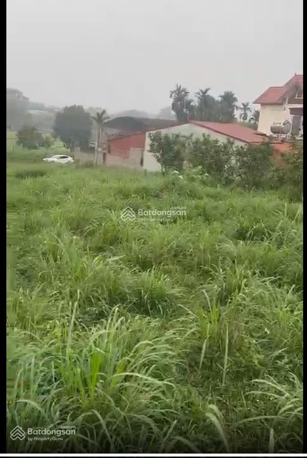 Chính chủ bán lô ba vì, hà nội, 1315m2 xã tản lĩnh cũ, gần ql 87a, cuối đại