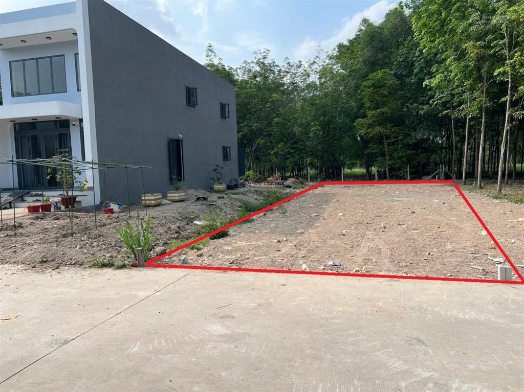 Cần tiền bán gấp lô đất ngay kcn tây bắc củ chi, 162,5m2 1,4 tỷ sổ hồng riêng xây dựng tự do