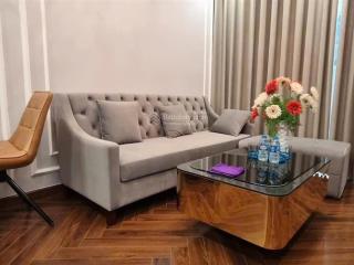 Chuyển nhượng gấp căn hộ 1,5 ngủ diamond crow chỉ với 3 tỷ