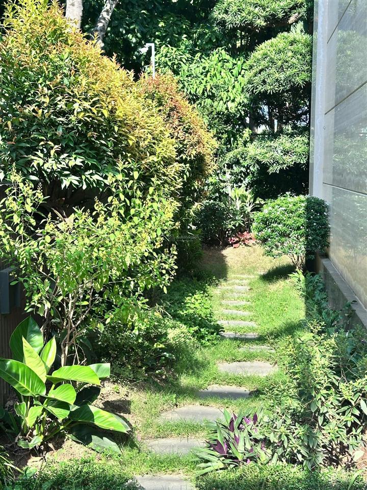 Cho thuê biệt thự 250m2, 4 tầng tại kđt tây hồ tây  starlake hà nội chỉ 50 triệu