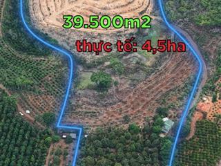 Bán nhà vườn sầu riêng 10 năm tiêu coffe,trang trại nghỉ dưỡng đẹp,ful tiện ích 3km, gần tp buônmê