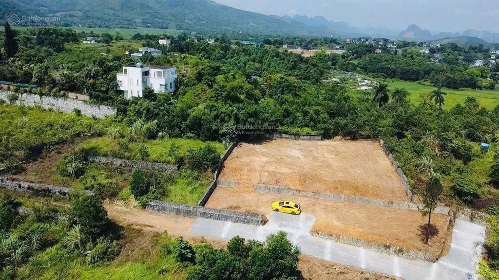 Chủ gửi bán mảnh đất view hồ mát mẻ 1441m2, mặt tiền 36m, mua 1 nửa chủ cùng bán, giá chỉ 8,5 tỷ