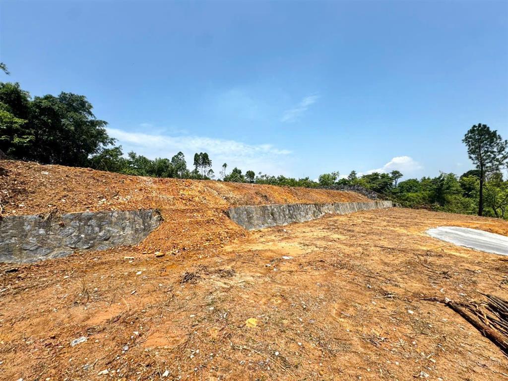 Chủ gửi bán mảnh đất view hồ mát mẻ 1441m2, mặt tiền 36m, mua 1 nửa chủ cùng bán, giá chỉ 8,5 tỷ