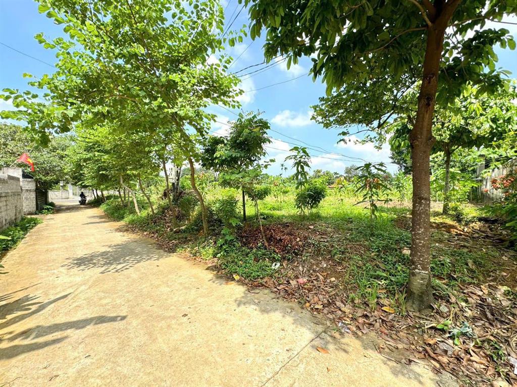Lô góc 2227m, mặt tiền chính rộng 45m bám đường trục chính aphan 12m tại cư yên, lương sơn,hòa bình