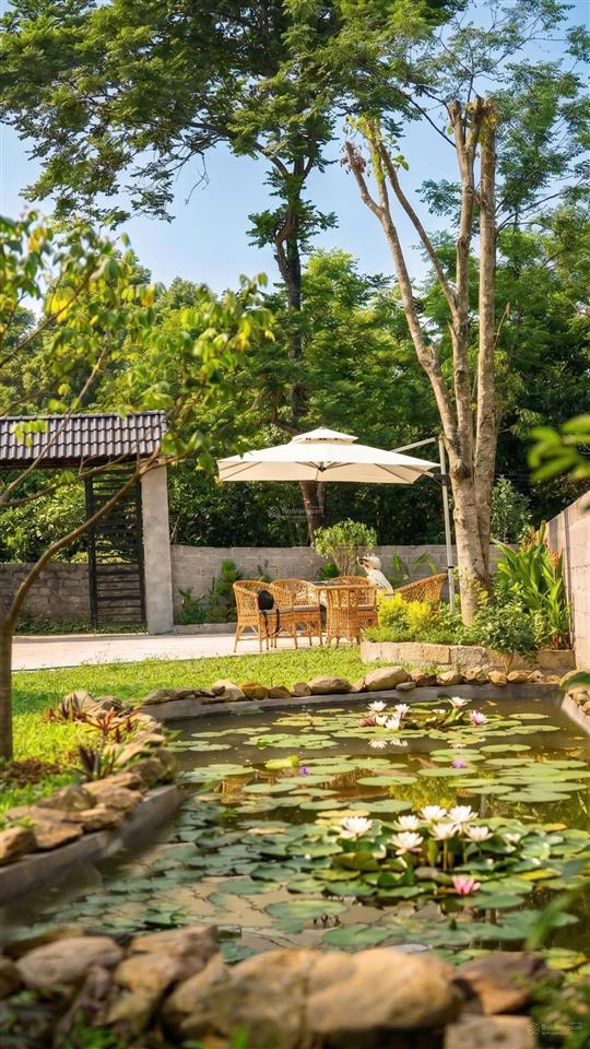 Chủ cần tiền cắt lỗ 487m full thổ cư khuôn viên nhà vườn sẵn có ở được ngay với giá 2 tỷ 850tr