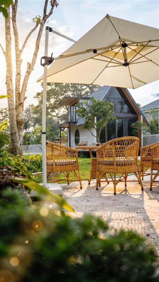 Chủ cần tiền cắt lỗ 487m full thổ cư khuôn viên nhà vườn sẵn có ở được ngay với giá 2 tỷ 850tr
