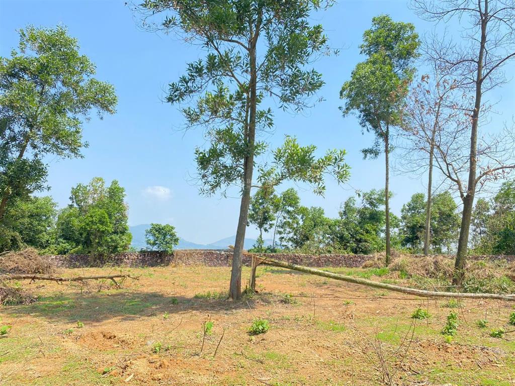 Cần bán gấp 3600m view đất cao thoáng nhìn toàn cảnh xung quanh, phù hợp làm nghỉ dưỡng