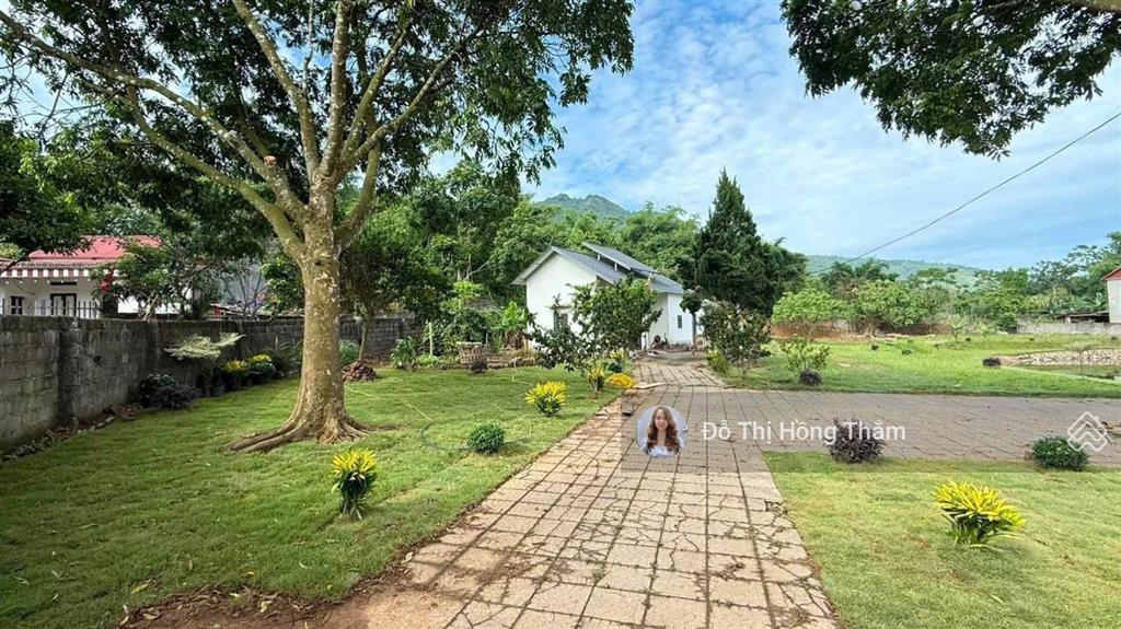 Bán đất 3100m2, thực tế 3800m2 tại cư yên, có ao to làm nhà vườn quá đẹp, giá thương lượng chủ