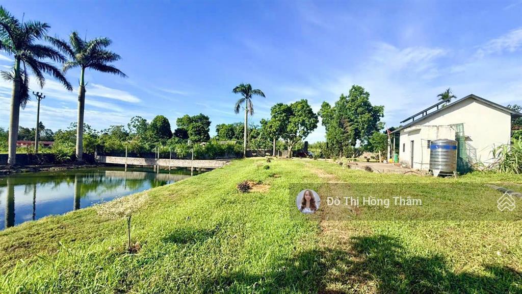 Bán đất 3100m2, thực tế 3800m2 tại cư yên, có ao to làm nhà vườn quá đẹp, giá thương lượng chủ