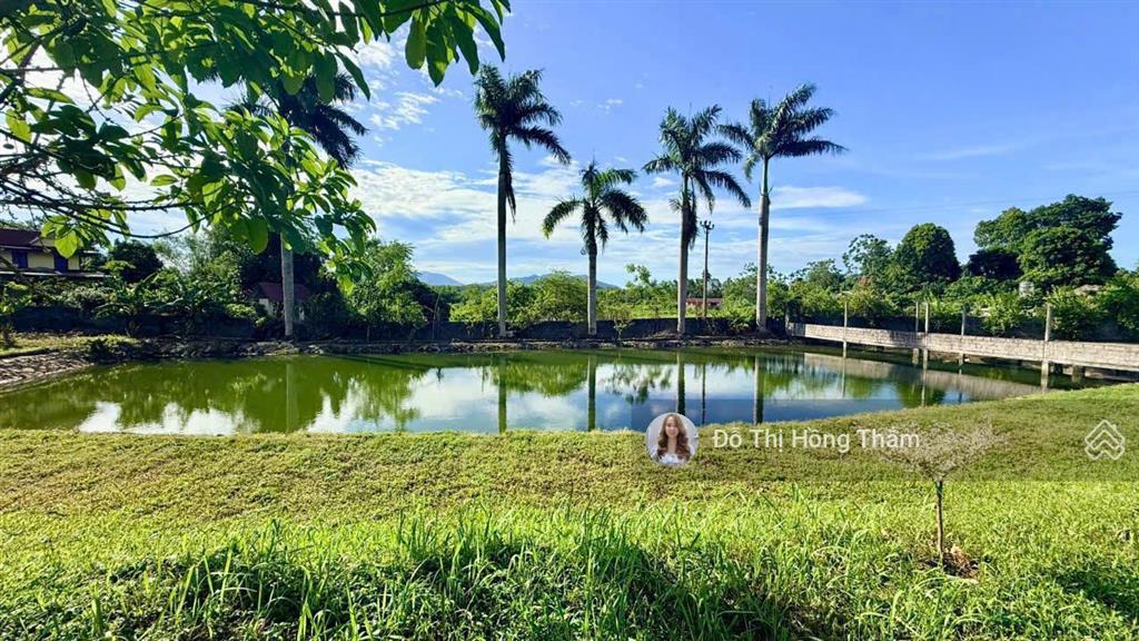 Bán đất 3100m2, thực tế 3800m2 tại cư yên, có ao to làm nhà vườn quá đẹp, giá thương lượng chủ