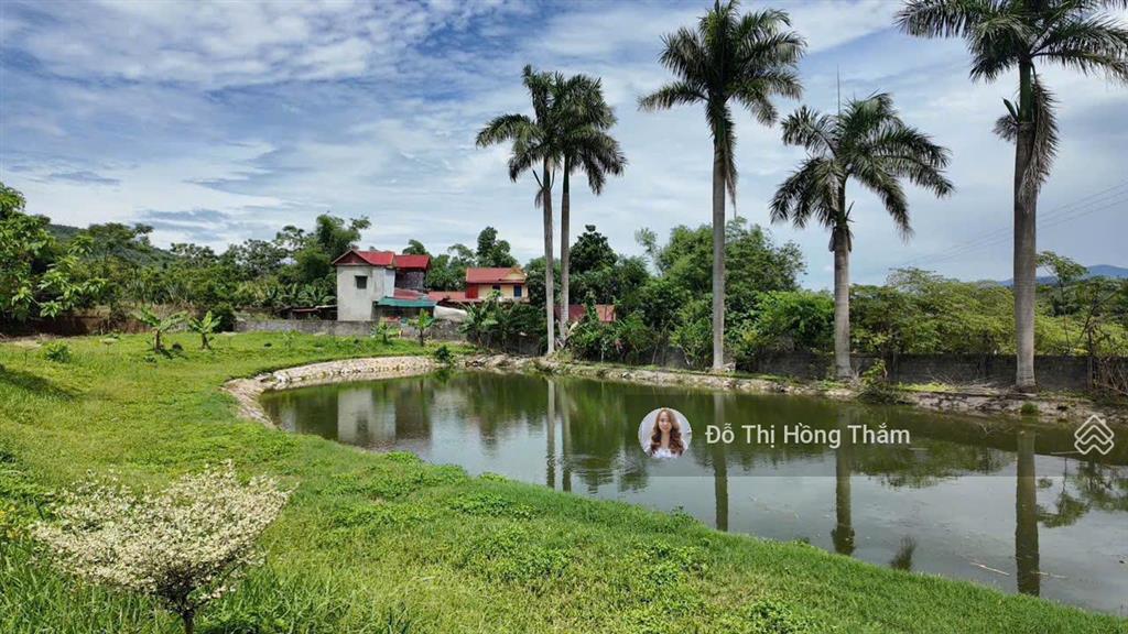 Bán đất 3100m2, thực tế 3800m2 tại cư yên, có ao to làm nhà vườn quá đẹp, giá thương lượng chủ