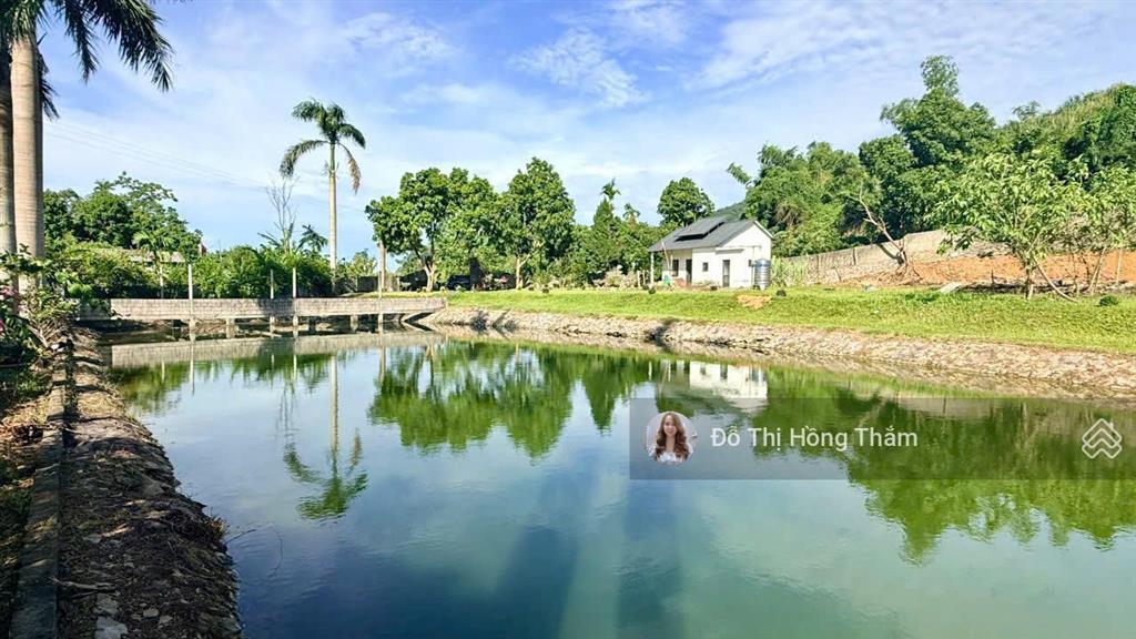 Bán đất 3100m2, thực tế 3800m2 tại cư yên, có ao to làm nhà vườn quá đẹp, giá thương lượng chủ