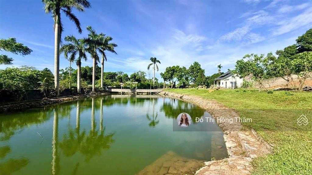 Bán đất 3100m2, thực tế 3800m2 tại cư yên, có ao to làm nhà vườn quá đẹp, giá thương lượng chủ
