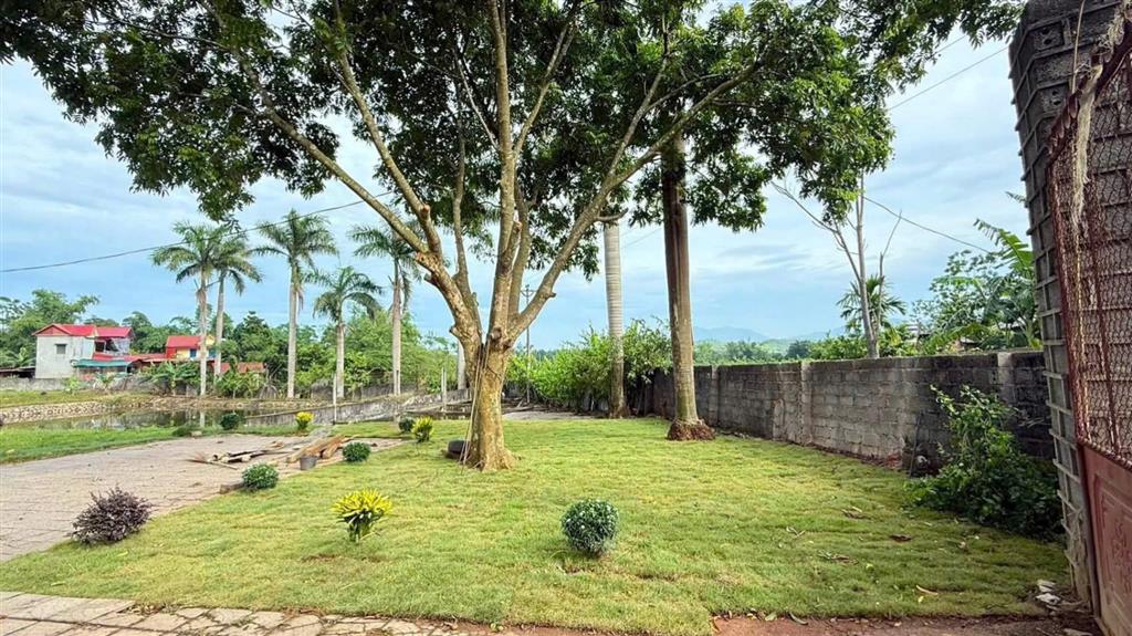 Bán đất 3100m2, thực tế 3800m2 tại cư yên, có ao to làm nhà vườn quá đẹp, giá thương lượng chủ