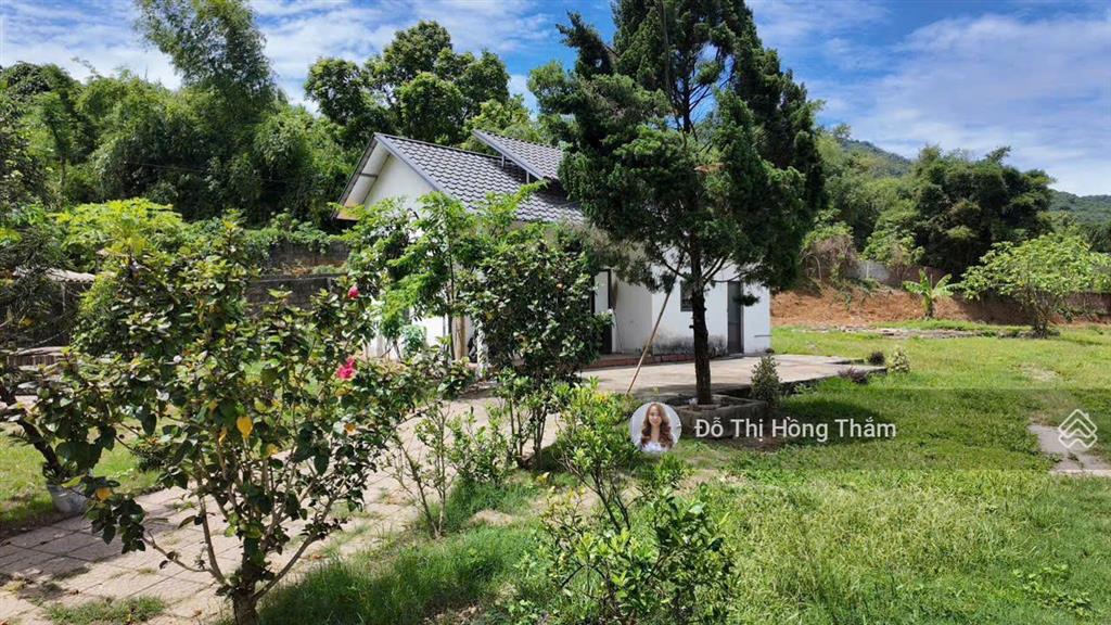 Bán đất 3100m2, thực tế 3800m2 tại cư yên, có ao to làm nhà vườn quá đẹp, giá thương lượng chủ