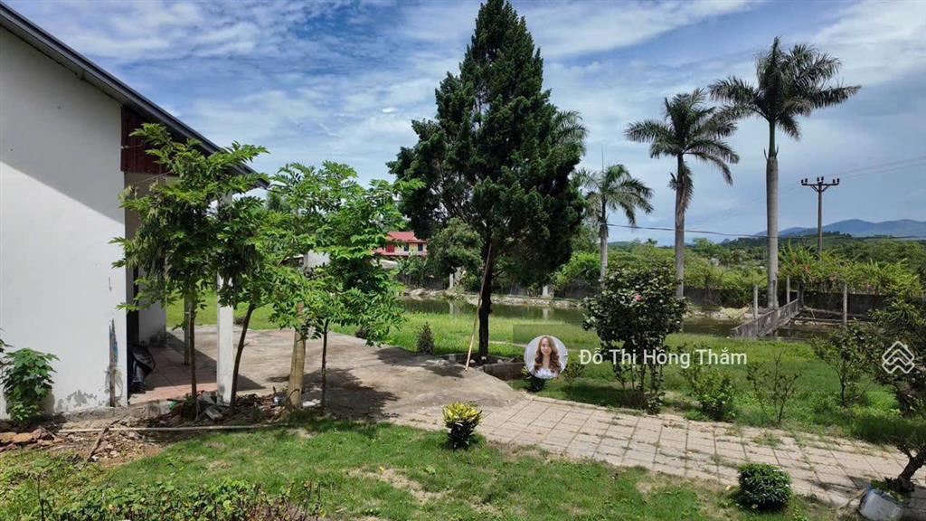 Bán đất 3100m2, thực tế 3800m2 tại cư yên, có ao to làm nhà vườn quá đẹp, giá thương lượng chủ