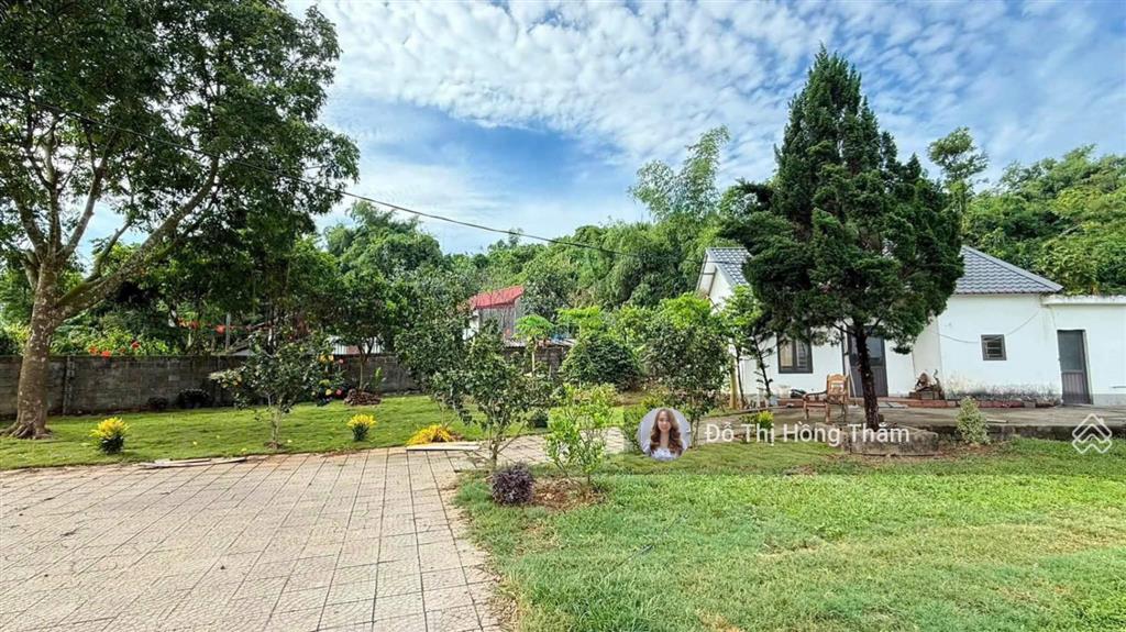 Bán đất 3100m2, thực tế 3800m2 tại cư yên, có ao to làm nhà vườn quá đẹp, giá thương lượng chủ