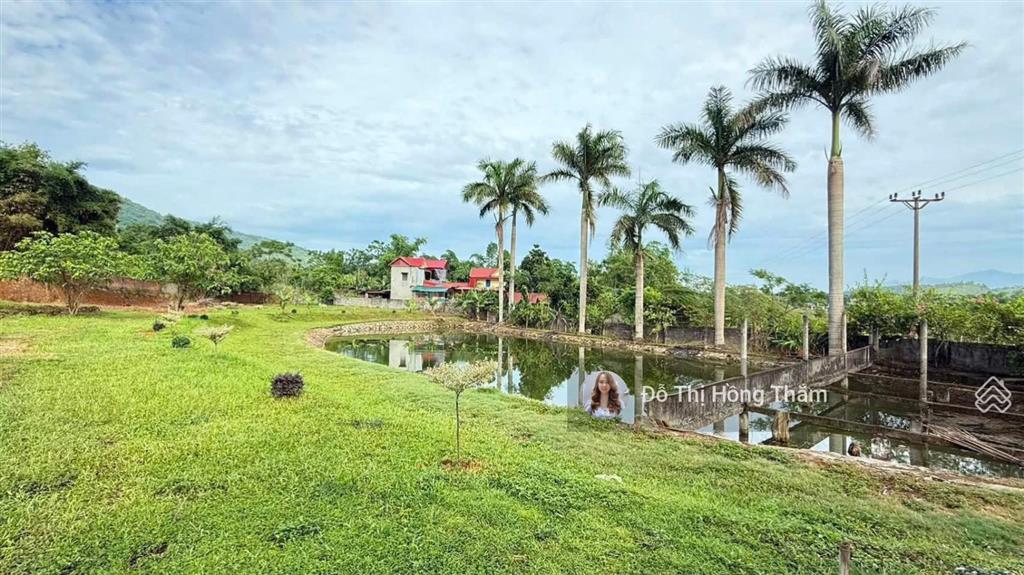 Bán đất 3100m2, thực tế 3800m2 tại cư yên, có ao to làm nhà vườn quá đẹp, giá thương lượng chủ