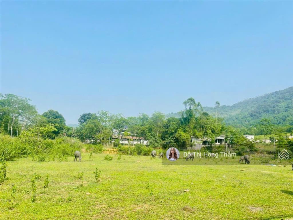 Cần bán mảnh đất 1217m² vừa xinh để làm nhà vườn nghỉ dưỡng, đầu tư lâu dài tại liên hòa, cao sơn