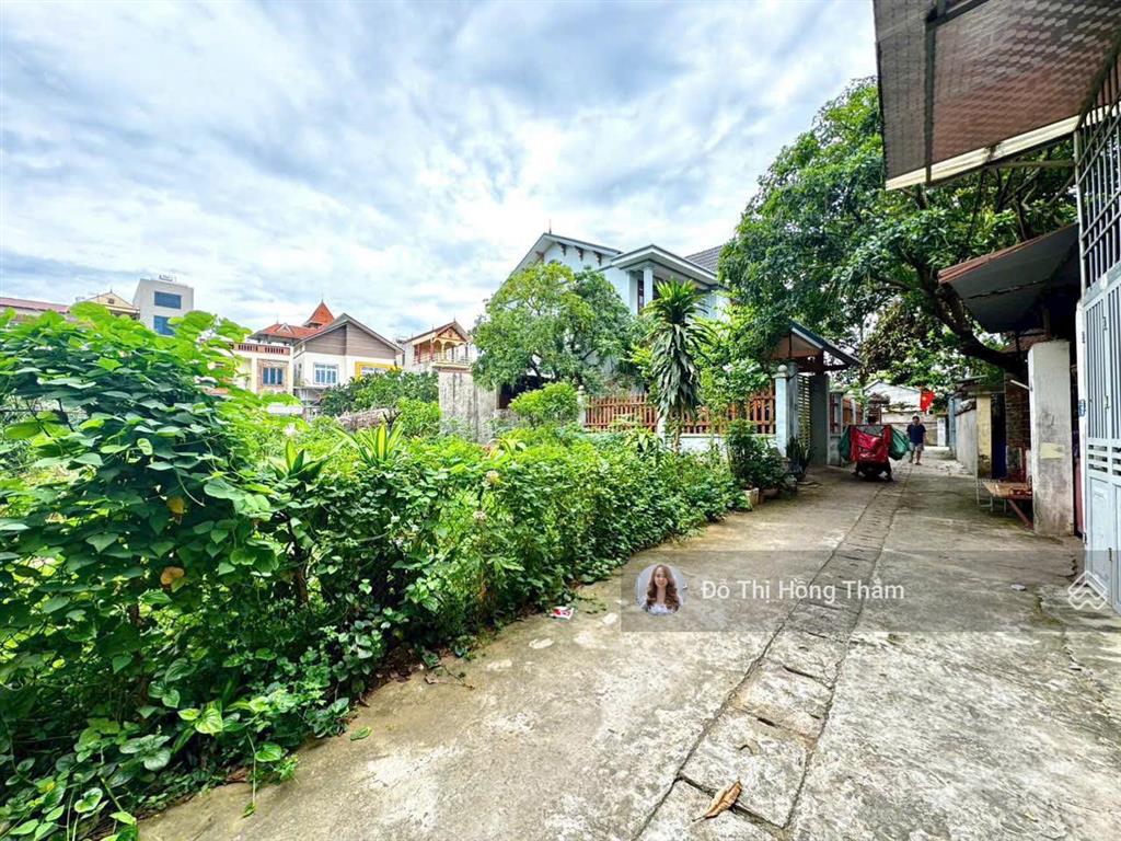 Cần bán 227m ngay cạnh chợ bê tông, mặt tiền 12m chia đc 2 lô, ra ql21a chỉ 100m, đầu tư tiềm năng