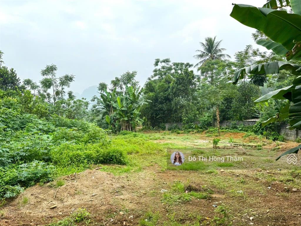 Chủ cần bán 1290m² tại thanh sơn, bám trục đường nhựa liên xã làm nghỉ dưỡng giá rẻ chỉ 3,7tr/m²