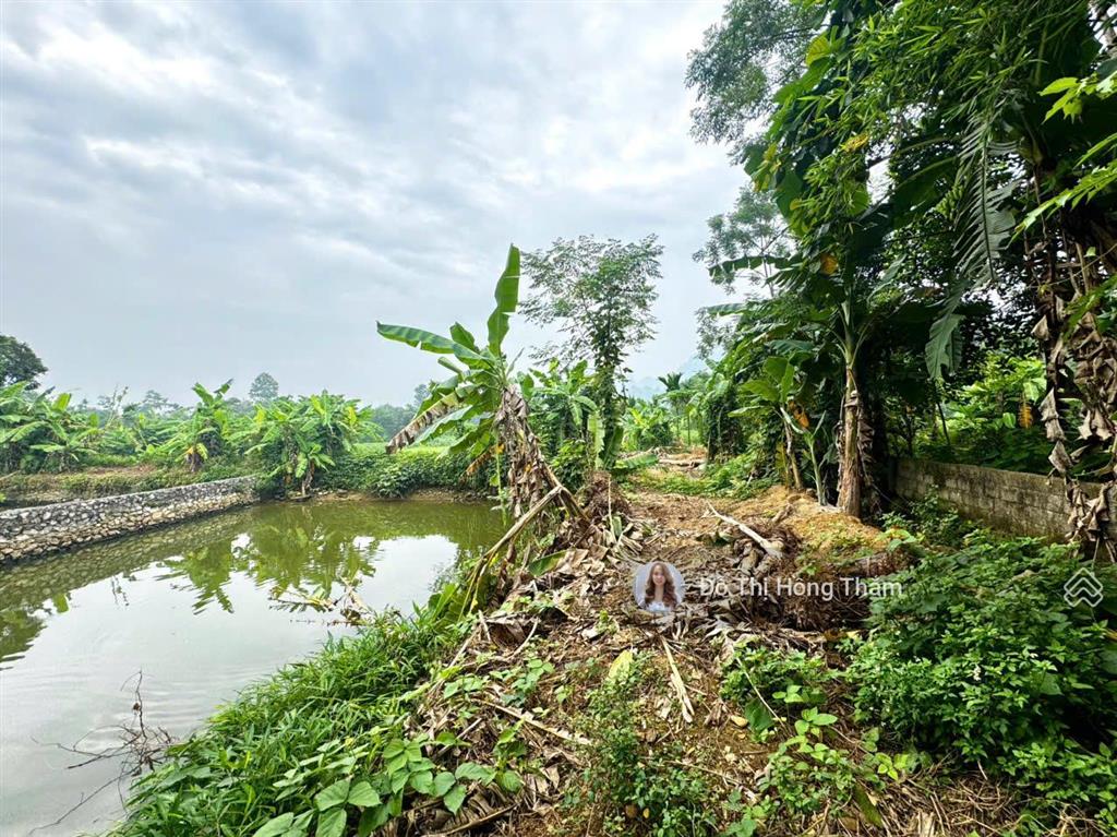 Chủ cần bán 1290m² tại thanh sơn, bám trục đường nhựa liên xã làm nghỉ dưỡng giá rẻ chỉ 3,7tr/m²