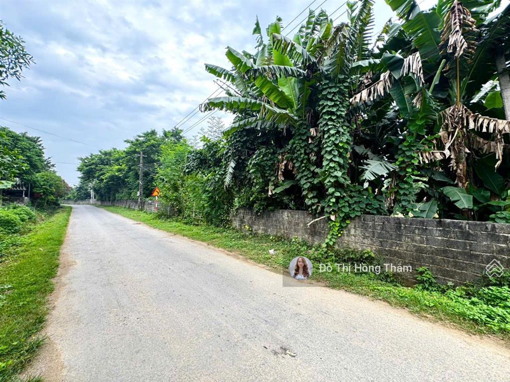 Chủ cần bán 1290m² tại thanh sơn, bám trục đường nhựa liên xã làm nghỉ dưỡng giá rẻ chỉ 3,7tr/m²