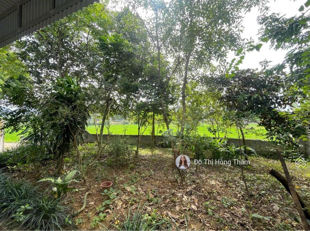 Cần bán 933m2 full thổ cư sẵn nhà cấp 4, bám đường to tại xã cao dương, giá rẻ chỉ 4tr/m2