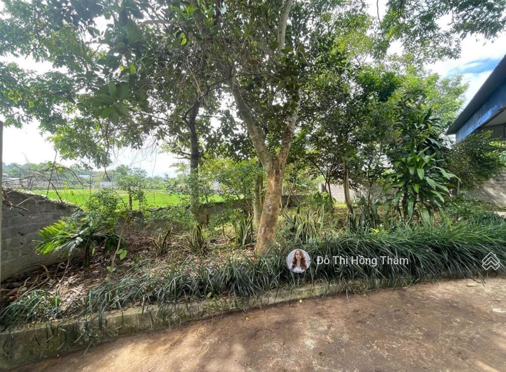 Cần bán 933m2 full thổ cư sẵn nhà cấp 4, bám đường to tại xã cao dương, giá rẻ chỉ 4tr/m2
