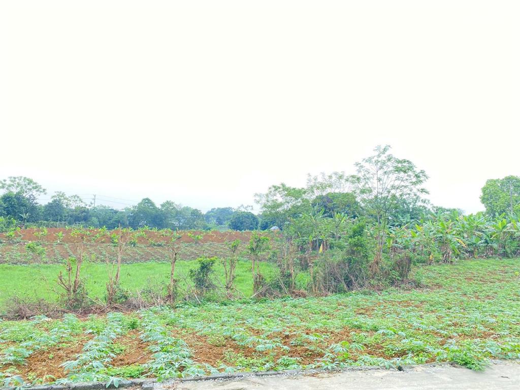 Cần bán lô góc 4200m2 bám trục chính xóm đá bạc, liên sơn mặt tiền dài 70m, làm nghỉ dưỡng quá đẹp