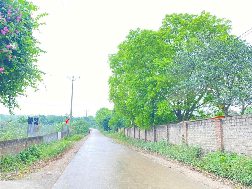 Cần bán lô góc 4200m2 bám trục chính xóm đá bạc, liên sơn mặt tiền dài 70m, làm nghỉ dưỡng quá đẹp