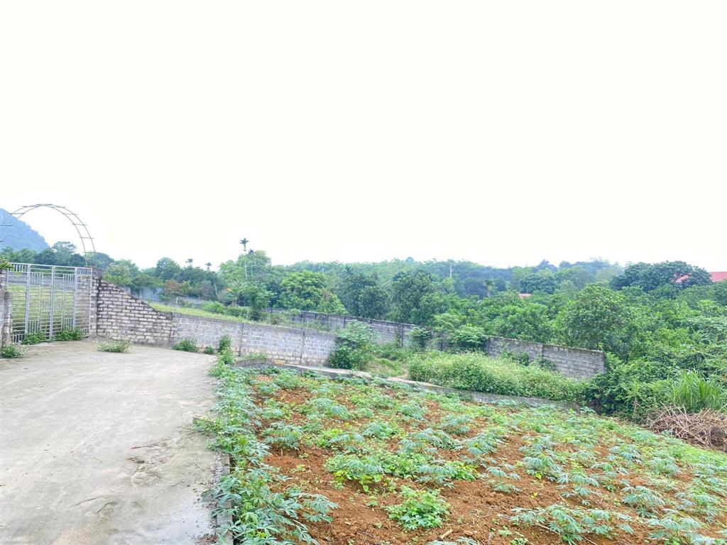 Cần bán lô góc 4200m2 bám trục chính xóm đá bạc, liên sơn mặt tiền dài 70m, làm nghỉ dưỡng quá đẹp