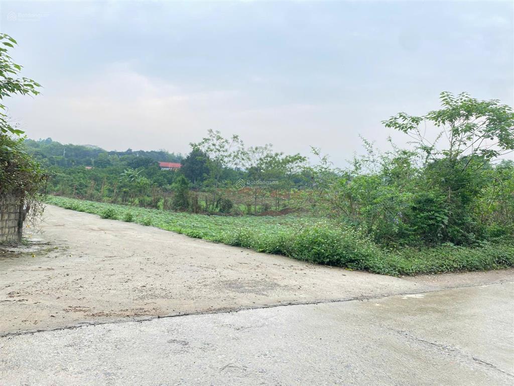 Cần bán lô góc 4200m2 bám trục chính xóm đá bạc, liên sơn mặt tiền dài 70m, làm nghỉ dưỡng quá đẹp