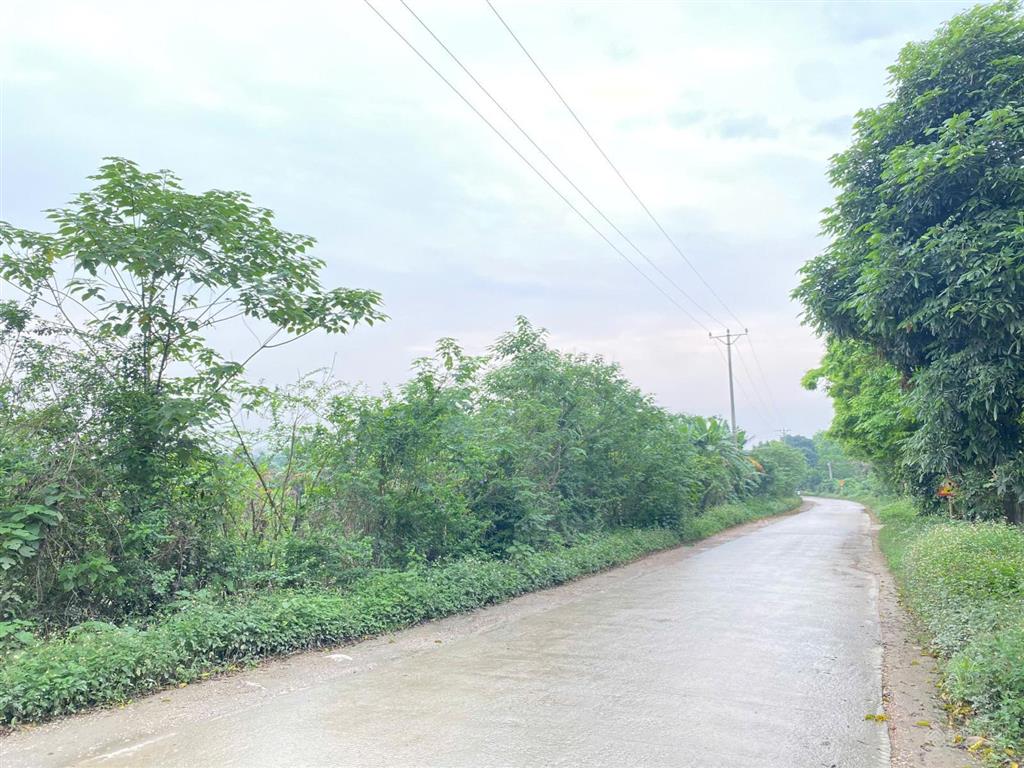 Cần bán lô góc 4200m2 bám trục chính xóm đá bạc, liên sơn mặt tiền dài 70m, làm nghỉ dưỡng quá đẹp