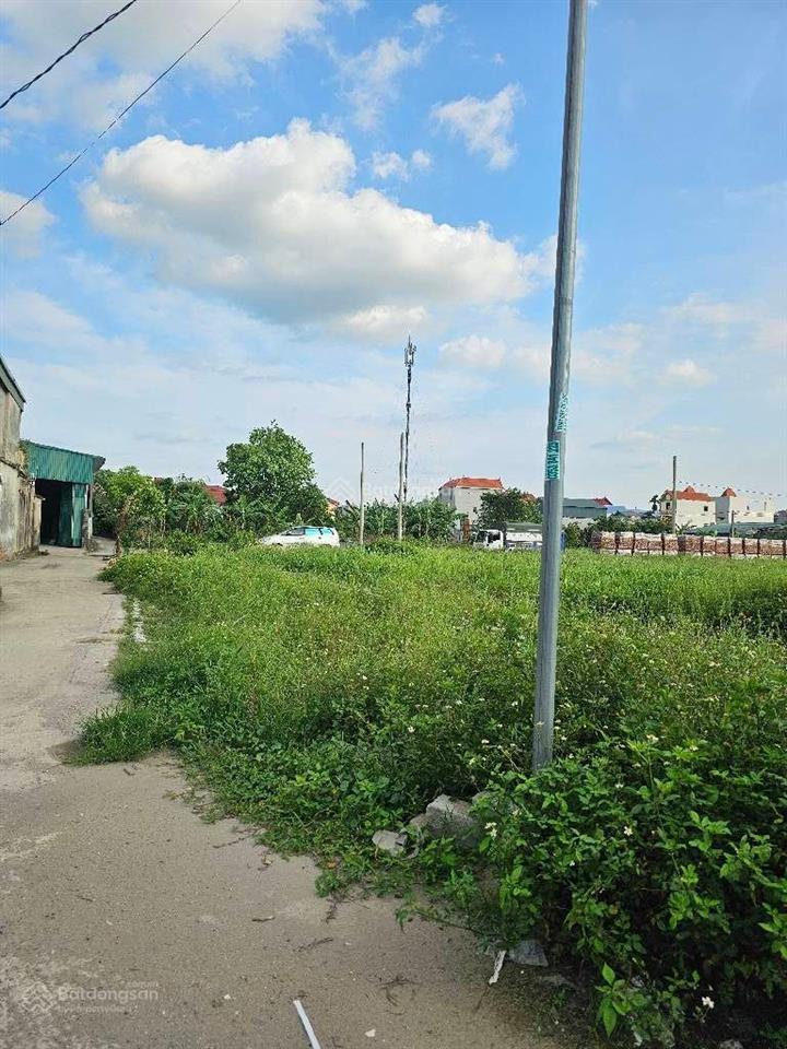 Bán gấp đất đấu giá hoàng xá thường tín lô góc ,ô tô tránh ,phân lô ,vỉa hè ,kinh doanh giá 6.95 tỷ