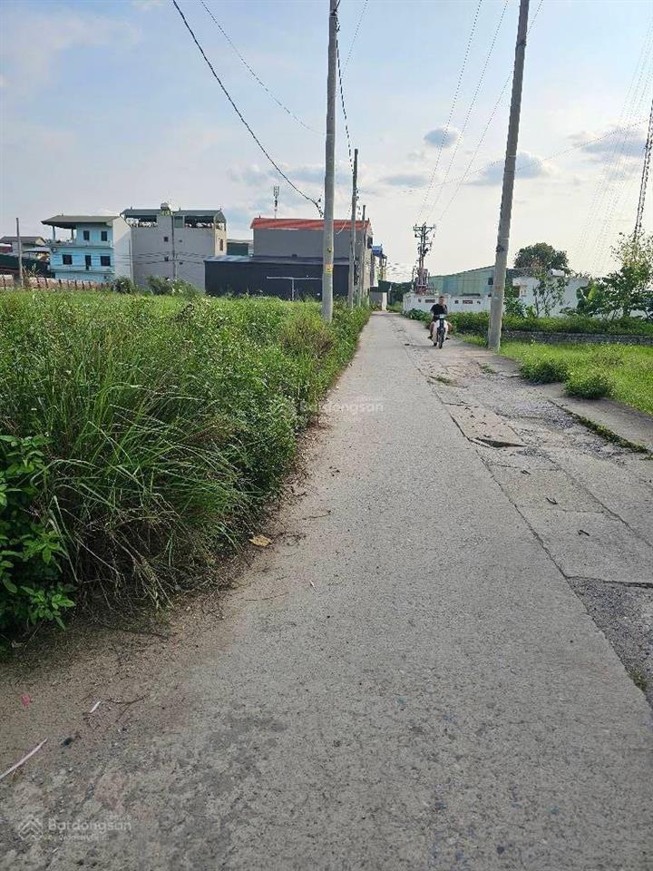Bán gấp đất đấu giá hoàng xá thường tín lô góc ,ô tô tránh ,phân lô ,vỉa hè ,kinh doanh giá 6.95 tỷ
