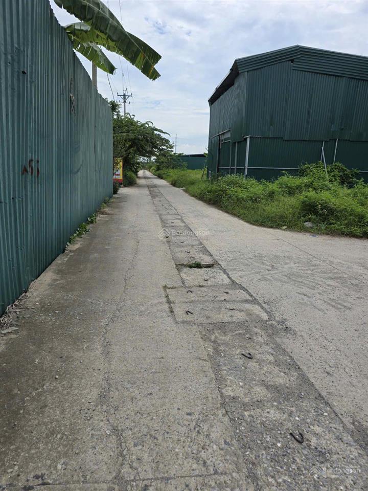 Bán gấp đất đấu giá đại áng ,ô tô ,phân lô vỉa hè hiếm ,lô góc ,diện tích rộng giá 10.3tỷ
