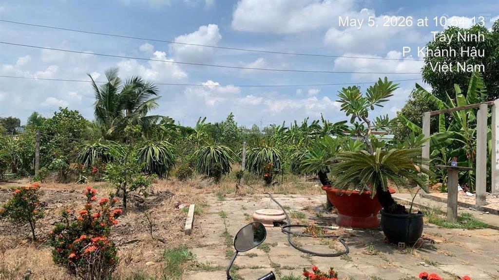 Bán đất full thổ ngay sát vành đai tân an