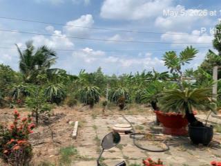 Bán đất full thổ ngay sát vành đai tân an