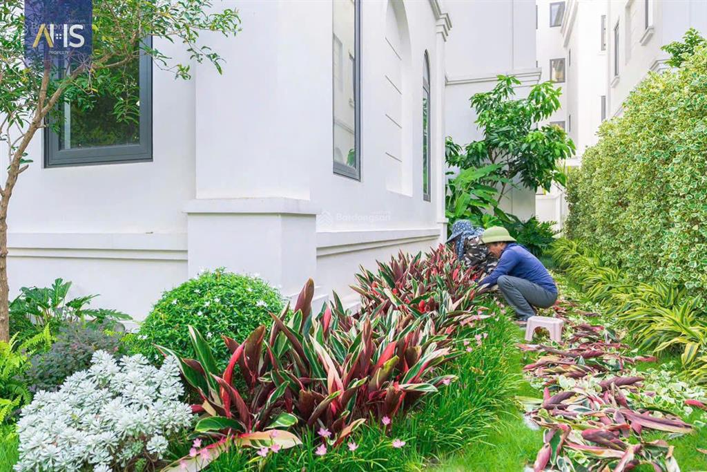 Giảm sâu 35% biệt thự solasta nam cường giá 150tr/m2 nhận nhà ngay. giá 25 tỷ. 0963 689 ***